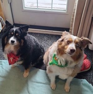 Meet your Posher, Patrick